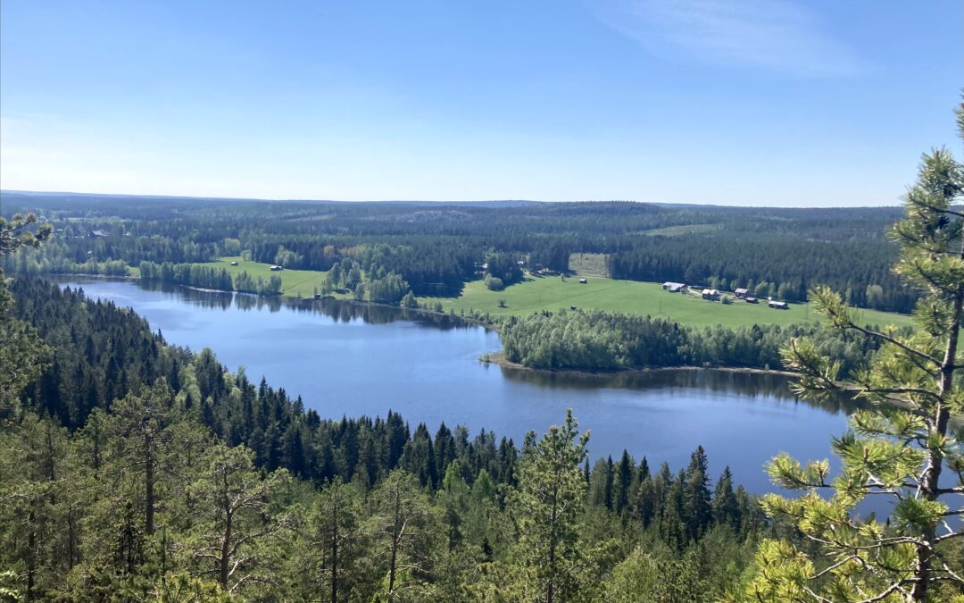 Anmälan till vår hållbarhetskurs är öppen!