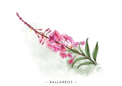 Lisa Wallin – designer, illustratör och konstnär, ställer ut i Galleri K